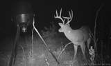 0000 Milam Road - Photo 26