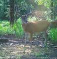 0000 Milam Road - Photo 27
