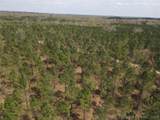 0000 Milam Road - Photo 29