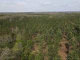 0000 Milam Road - Photo 3