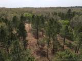 0000 Milam Road - Photo 4