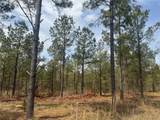 0000 Milam Road - Photo 9
