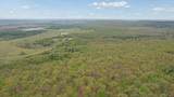 001 Fred's Fish Camp Road - Photo 16