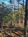  Wolf Trail - Photo 1