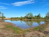 19875 310 Road - Photo 13