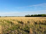 19875 310 Road - Photo 17