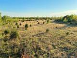 19875 310 Road - Photo 20