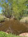 000 Tree Farm Road - Photo 13