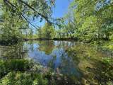 000 Tree Farm Road - Photo 14