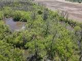 000 Tree Farm Road - Photo 17