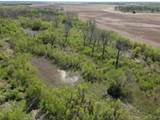 000 Tree Farm Road - Photo 23