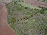 000 Tree Farm Road - Photo 27