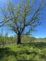 000 Tree Farm Road - Photo 30