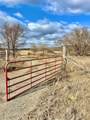  Wolfhunters Lane - Photo 28