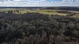 001 Fern Mountain Road - Photo 13
