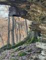 001 Fern Mountain Road - Photo 20