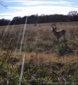 001 Fern Mountain Road - Photo 23