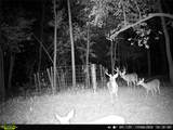101555 4590 Loop - Photo 4