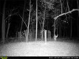 101555 4590 Loop - Photo 5