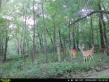 101555 4590 Loop - Photo 7