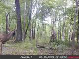101555 4590 Loop - Photo 8