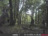 101555 4590 Loop - Photo 9