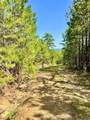  1330 Road - Photo 48