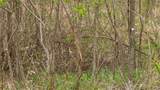 001 4405 Road - Photo 10