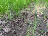 001 4405 Road - Photo 17