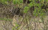 001 4405 Road - Photo 9