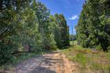 553 Ridgemont Road - Photo 3