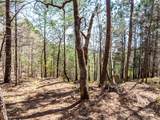 953 Pine Tree Road - Photo 12