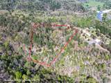 953 Pine Tree Road - Photo 5