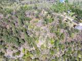953 Pine Tree Road - Photo 7