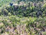 953 Pine Tree Road - Photo 8