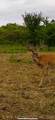 120 4160 - Photo 30