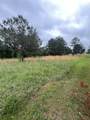 1162 County Road 4280 Road - Photo 7