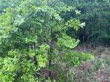 0 Bristow Point Road - Photo 7