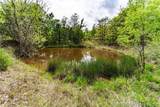 0000 231st Street - Photo 24