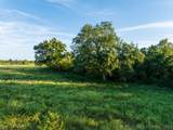 146 1010 - Photo 68