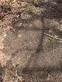00000 Berryhill Road - Photo 8