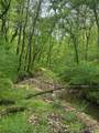 22000 660 Road - Photo 53