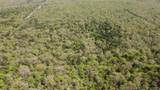 298 Krebs Lake Road - Photo 12