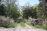 298 Krebs Lake Road - Photo 5