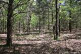 298 Krebs Lake Road - Photo 6