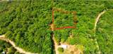  Dogwood Lane - Photo 10