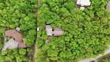 3125 Wild Mountain Road - Photo 48