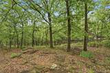 3125 Wild Mountain Road - Photo 52