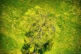  Boggy Depot - Photo 19