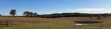 161 County Road 2280 - Photo 2